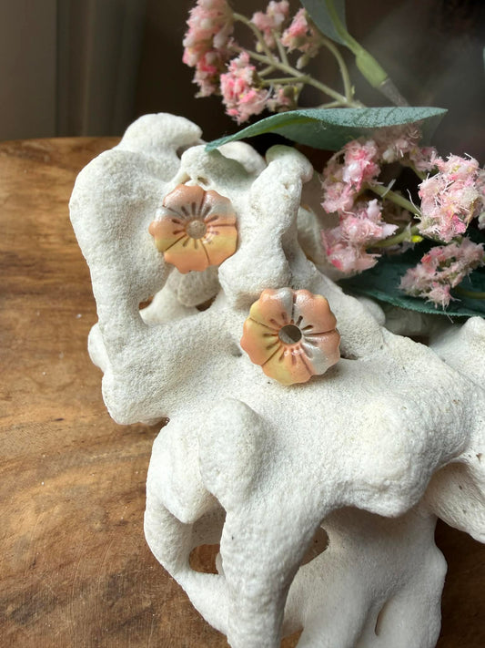 Pampilles "Alba" Arc en Ciel