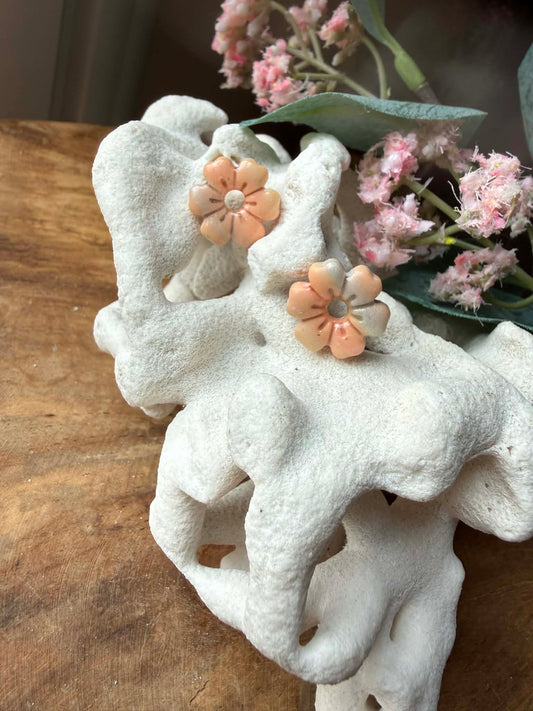 Pampilles 'Iris" Arc en Ciel