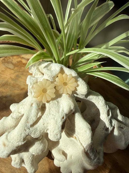 Pampilles 'Elo" Jaune cristal